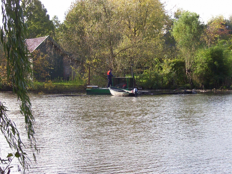 Sanering stadsgrachten Ravenstein
