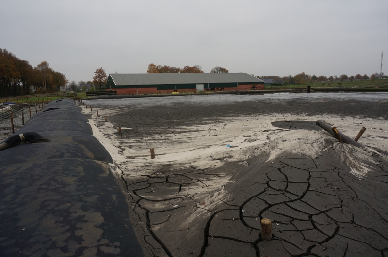 Baggeren Wijk De Bunders Veghel