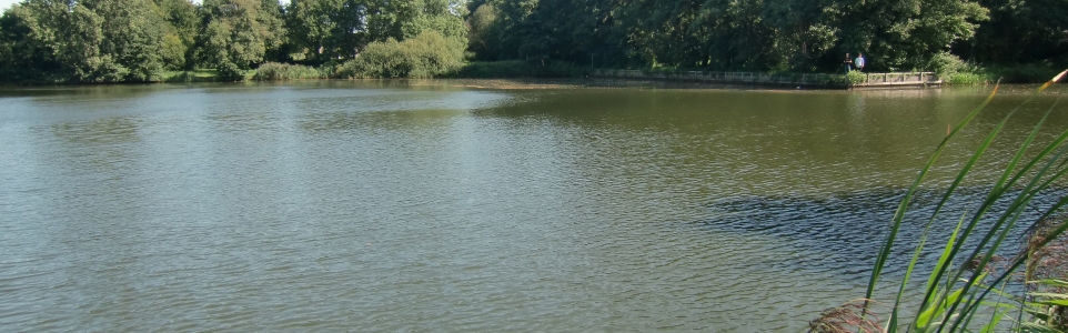 Baggeren en ontwateren Kleine Melanen