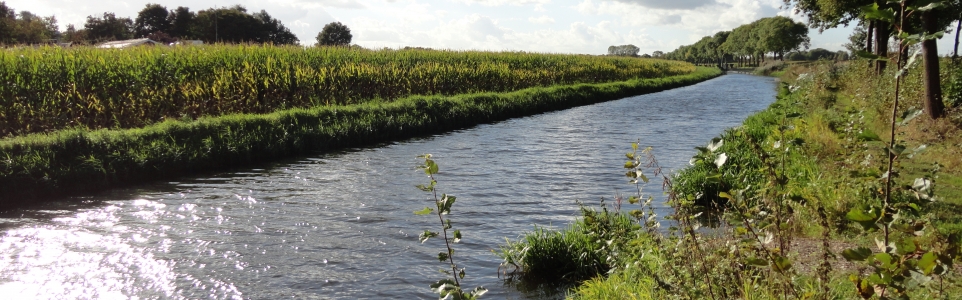 Baggeren Leijgraaf fase 2